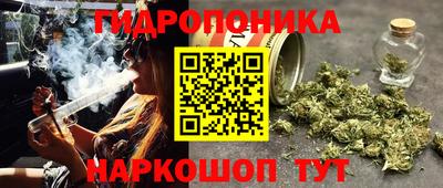 Альфа ПВП Обь