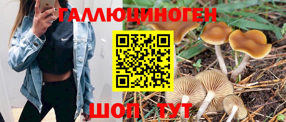 Псилоцибиновые грибы ЛСД  Вход с VPN  Ступино  сколько стоит  Псилоцибиновые грибы Psilocybine cubensis 